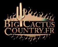 Big Cactus Country